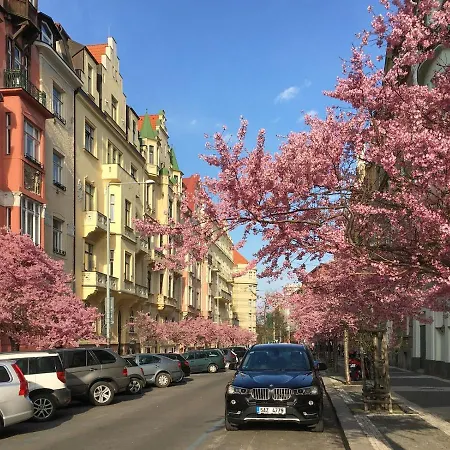 Modern And Huge Apts In Center By Michal&friends * Prague