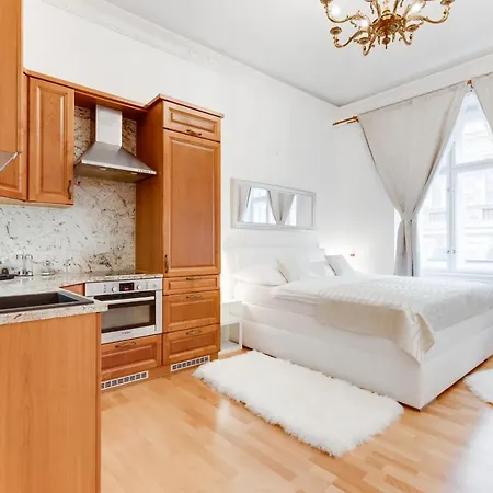 Wenceslas Square Royal Apartment Prague