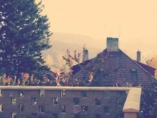 Nika 3*