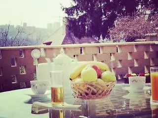 Nika Guest house