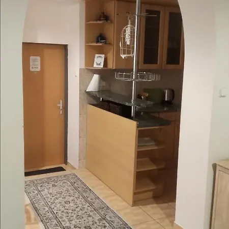 Ruzova Spot Apartment