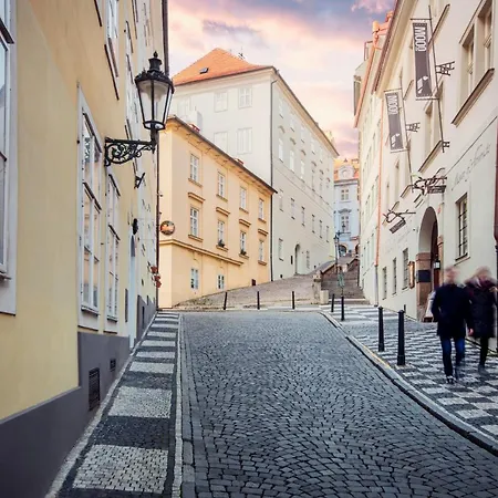 At The White Lily Prague