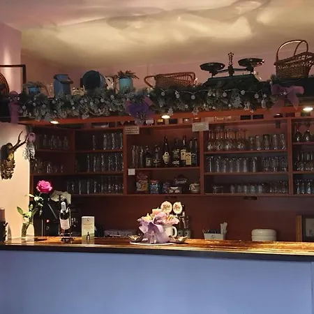 Cesky Statek Guest house Prague