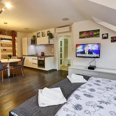 Apartment Agnes - *