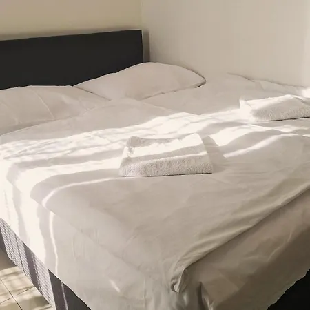 Bambus Zahrada 3* Prága