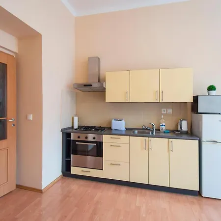 Modern Wenzigova 15 Apartment