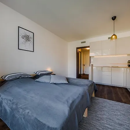 Apartment Homy *