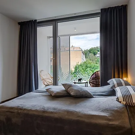 Homy Apartment