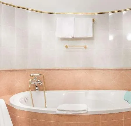 Hotel U Krale Karla Prague