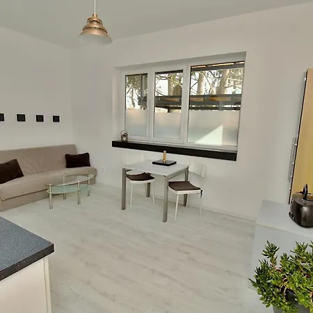 Apartment Near The Pond Prague