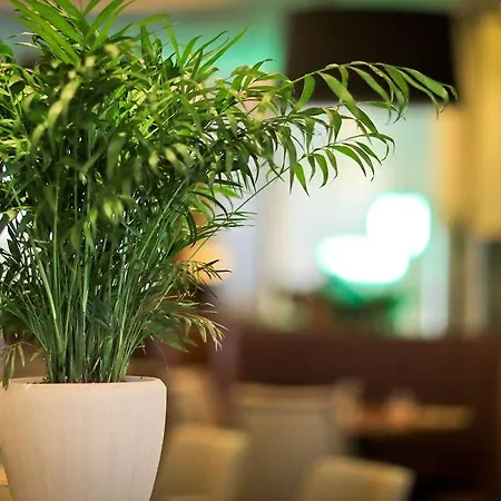 Botanique فندق 4*