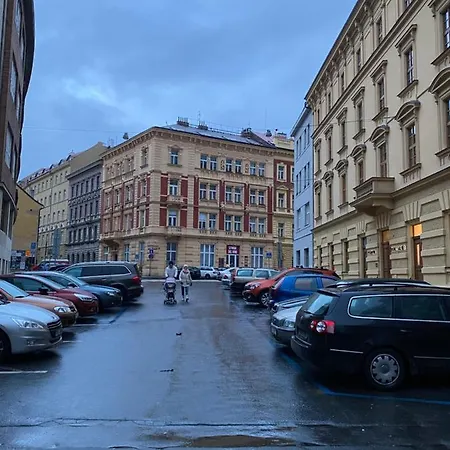 Timmy Ostrovni 4 1 *