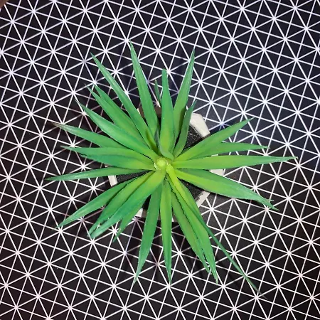 Center 2* Prága