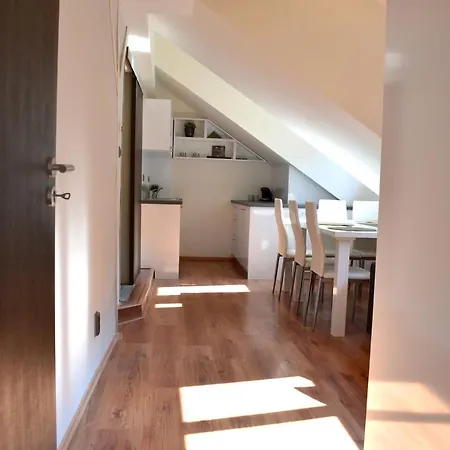 New Rooftop With Private Wellness, Sauna & Whirlpool Bath Prague