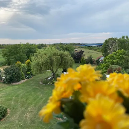 Apartment Royal Garden With A Pool Prag
