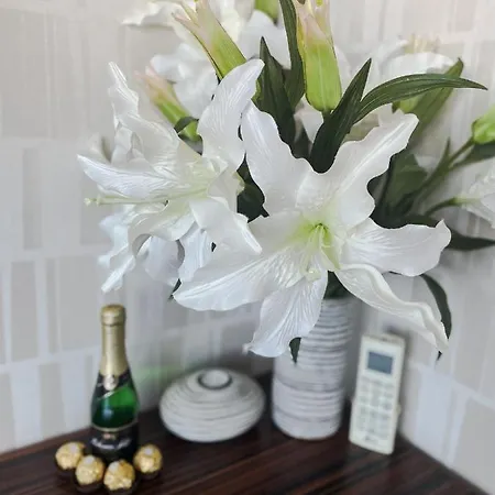 Lupacova Apartmán Praha