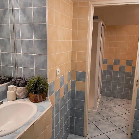 Prague Apartment פראג