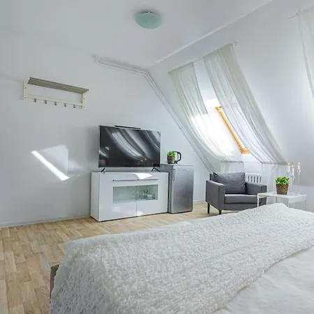 Tamara With Air-conditioning And Parking Prague