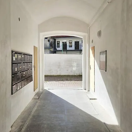 Artistic Designer Zizkov Apartment