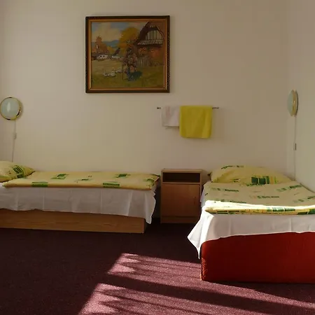Guest house Dana Troja *