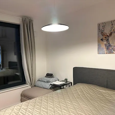 4 Room, 2 Bath, Parking Apartment Prague