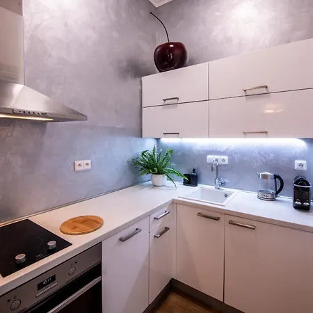 Modern Downtown - Renovated, On Ideal Location Apartment