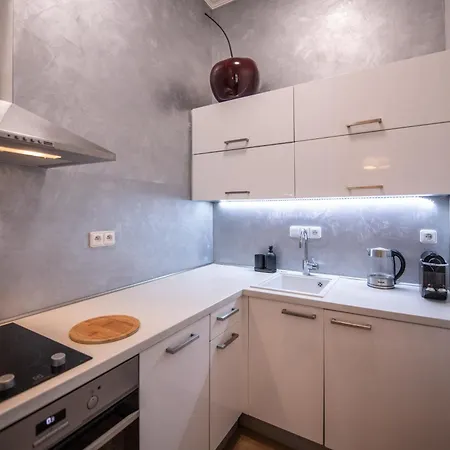 Apartment Modern Downtown - Renovated, On Ideal Location
