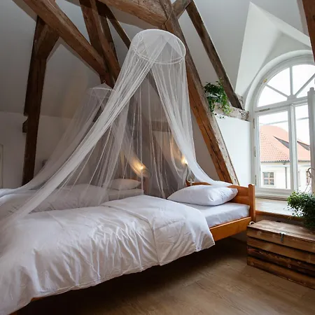 Women's Only - Female Only Albergue *