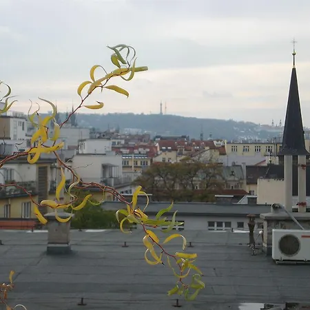 Unie Praha