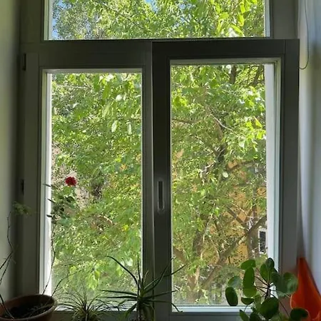 Cozy Karlin Apartment