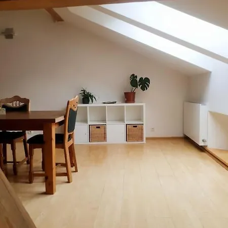 Loft Maiselova شقة *