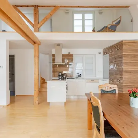 Loft Maiselova شقة *