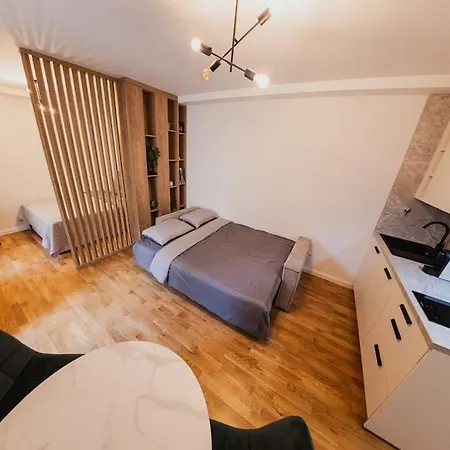 Stylish Studio In The Center Prague