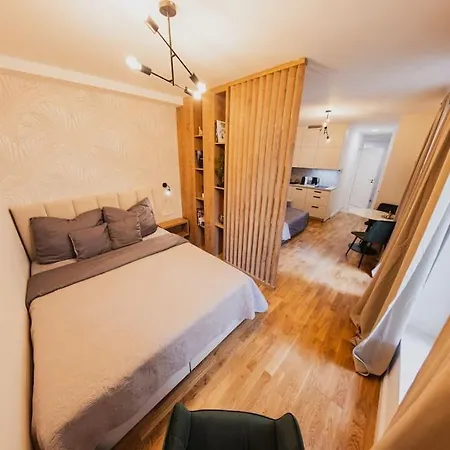 Apartment Stylish Studio In The Center Prague