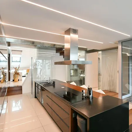 Presidential Penthouse, 303m2, Jacuzzi On Terrace, Sauna, 6bdrm, 4bthrm, Ac, Lift Appartement Praag
