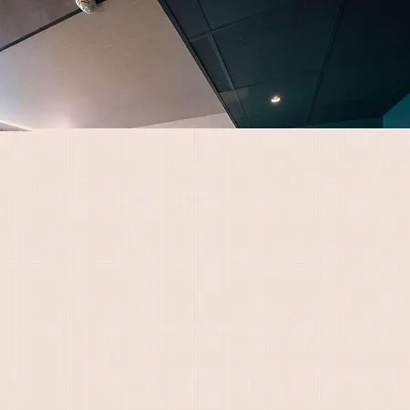 호텔 노보텔 벤체스라스 스퀘어 프라하