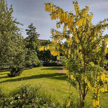 Szálloda University Hotel