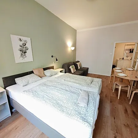 Flat In Zizkov -101- * Prague