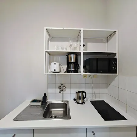 Flat In Zizkov -101-