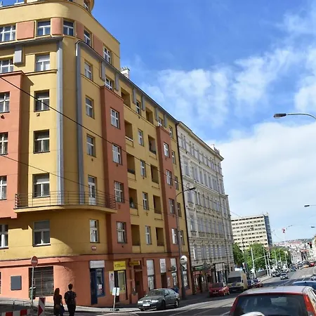 Amazing In Center For Great Price Apartment