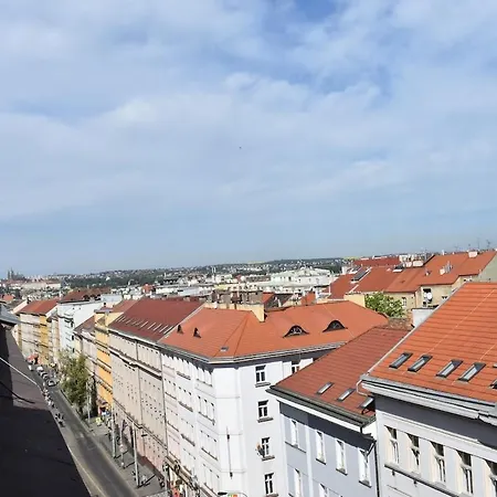 Amazing In Center For Great Price Apartment