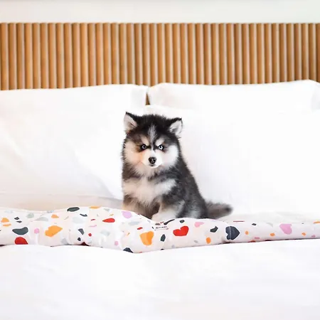 Отель Mama Shelter Прага