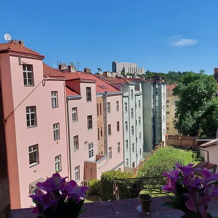 Apartment Near Center! *
