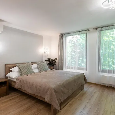 Hotel Wellness & Boutique Pod Lipkami Prag
