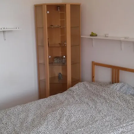 Hostel Branik Garden *
