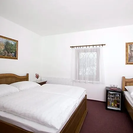 Hotel Golden Golem Praha