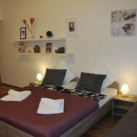 Apartman Spacious View *