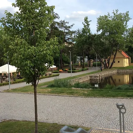 Lev I Sova Prague