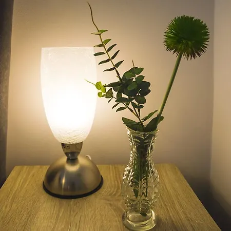 Apartamento Krakovska 5 Praga