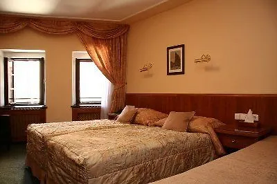 Hotel Clementin 4*